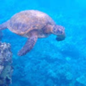 Meet your Posher, Mandy